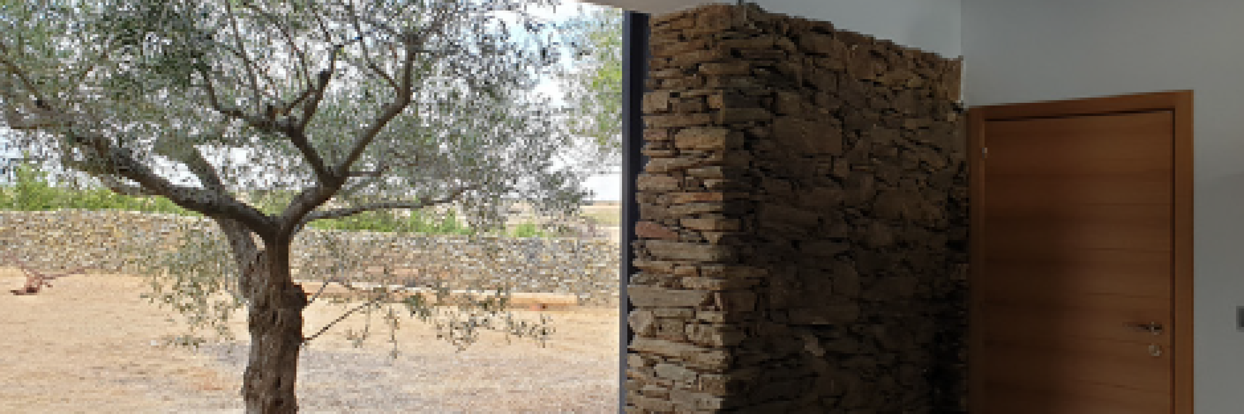 Rehabilitación cobertizo y almacén productos ecológicos21